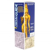 Padmini Spiritual Guide 25-pack wierook